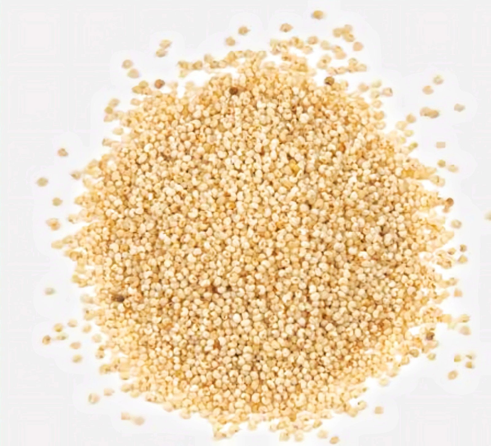 Poppy Seeds ( khaskhas )